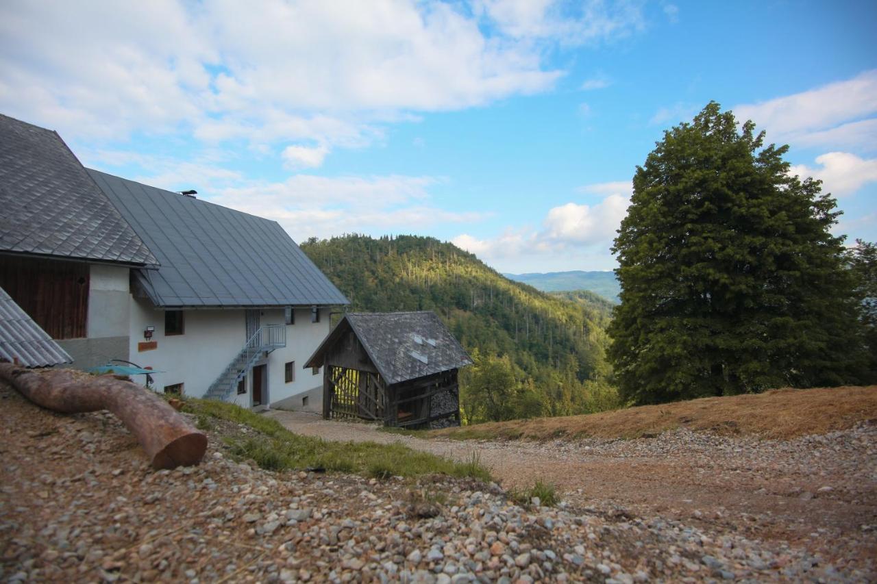 Apartma Gorski Razgled Srednja Vas v Bohinju ภายนอก รูปภาพ