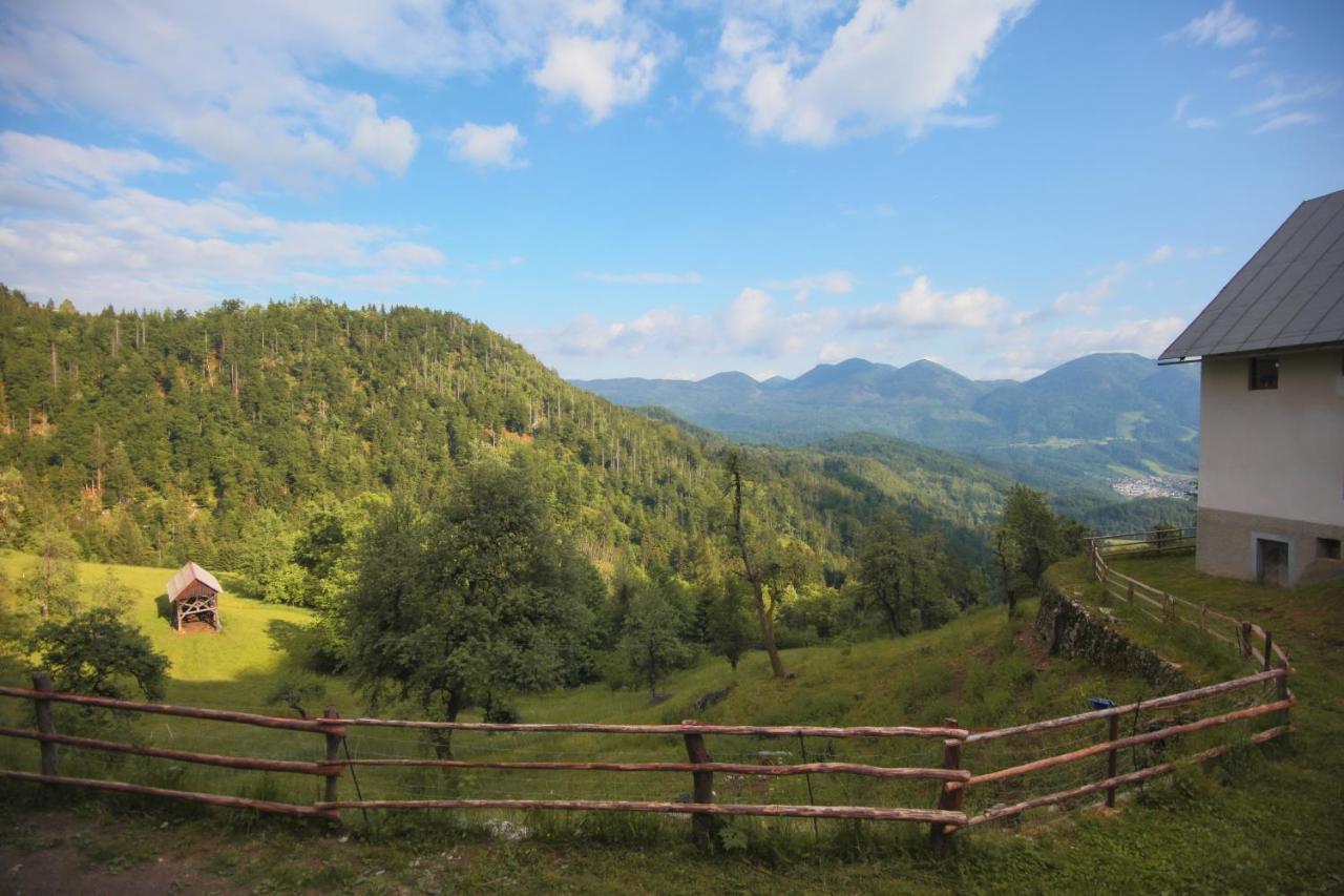 Apartma Gorski Razgled Srednja Vas v Bohinju ภายนอก รูปภาพ