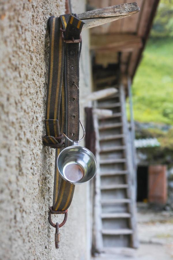 Apartma Gorski Razgled Srednja Vas v Bohinju ภายนอก รูปภาพ