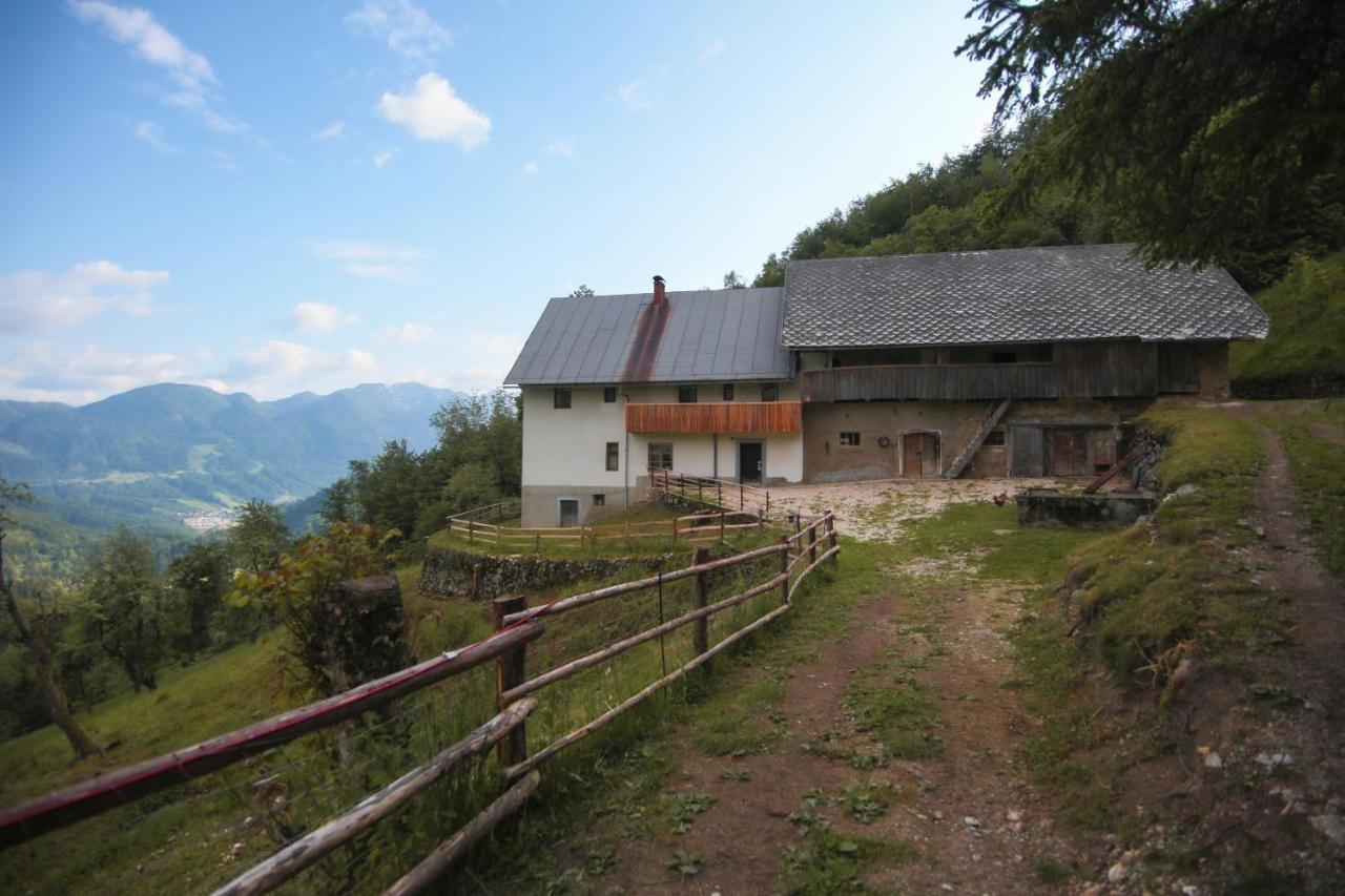Apartma Gorski Razgled Srednja Vas v Bohinju ภายนอก รูปภาพ