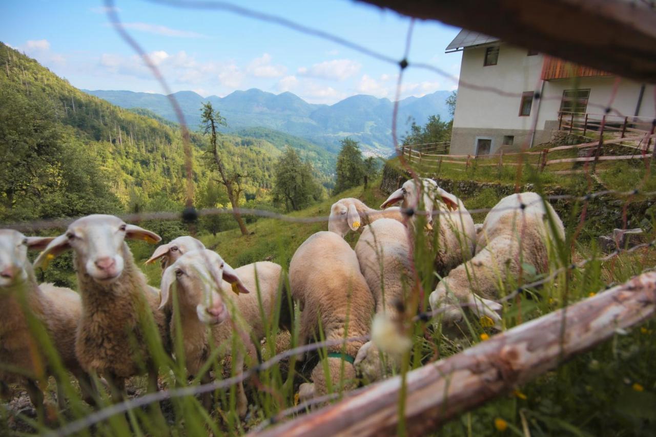 Apartma Gorski Razgled Srednja Vas v Bohinju ภายนอก รูปภาพ