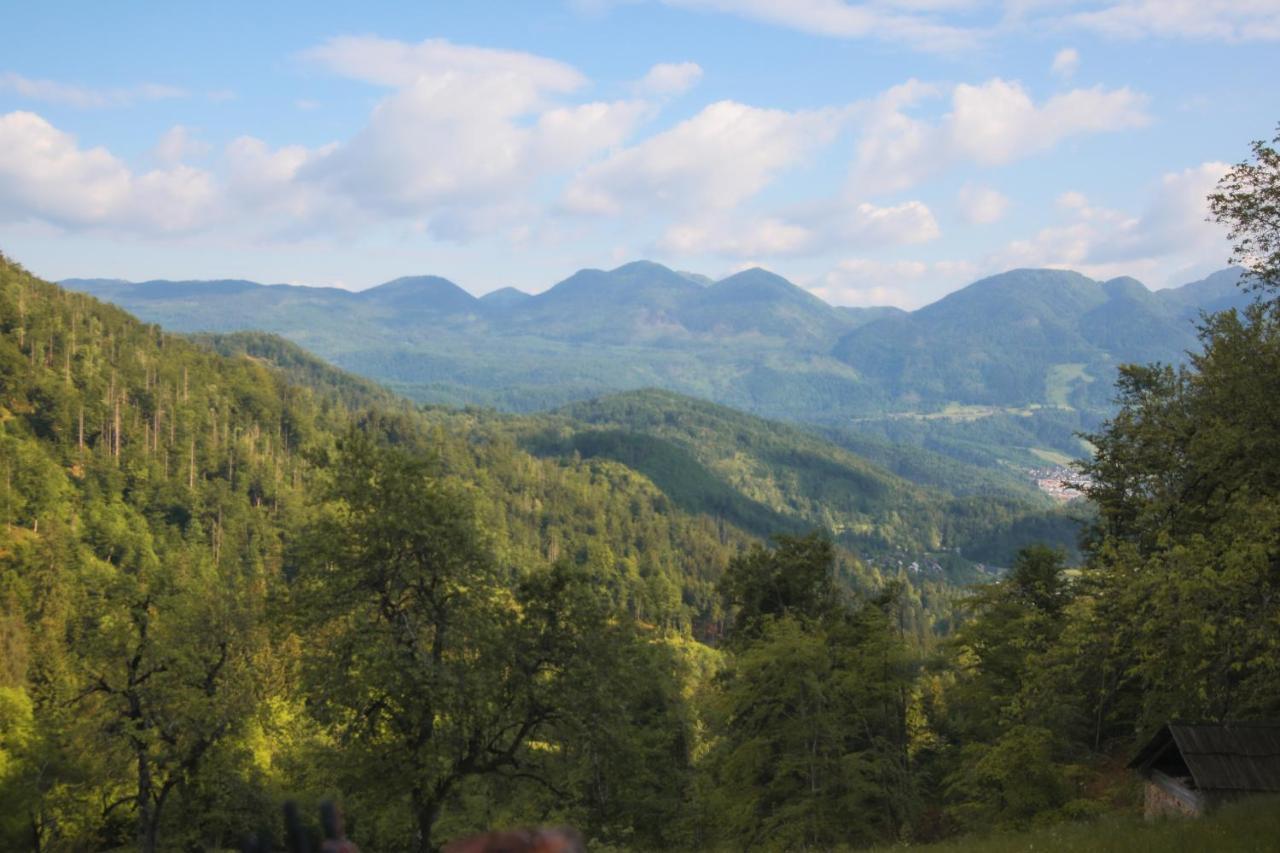 Apartma Gorski Razgled Srednja Vas v Bohinju ภายนอก รูปภาพ