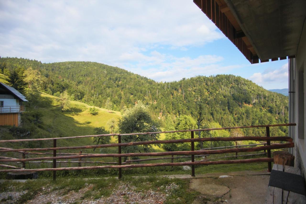Apartma Gorski Razgled Srednja Vas v Bohinju ภายนอก รูปภาพ